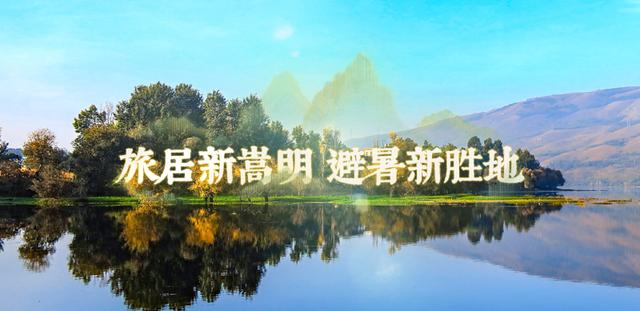 img, msn, 时间